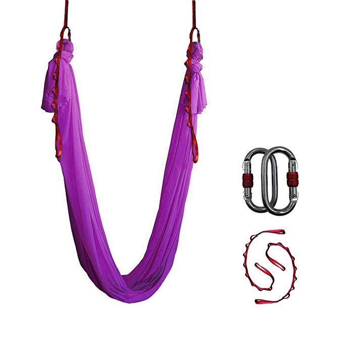 Dasking Deluxe 5m/set Yoga Swing Aerial Yoga Hammock kit with Daisy Chains Carabiners, Fabric & Guide